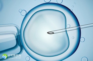 供卵代怀生子代生生男孩